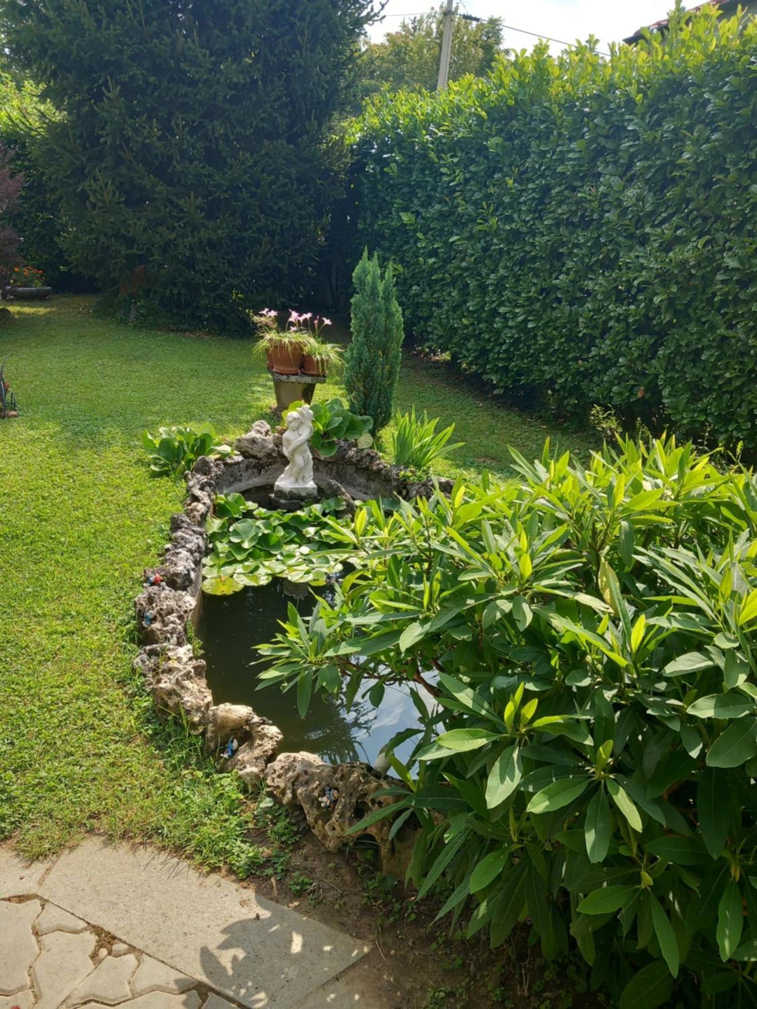 Bed and Breakfast Il Laghetto Torre Canavese Экстерьер фото
