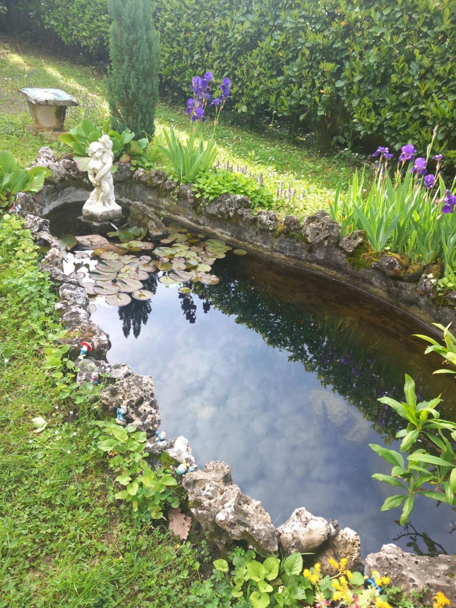 Bed and Breakfast Il Laghetto Torre Canavese Экстерьер фото